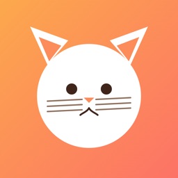 Cat Breed AI